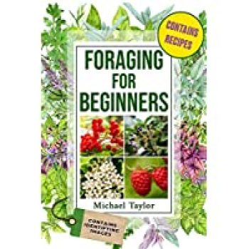 Foraging for Beginners Kindle eBook