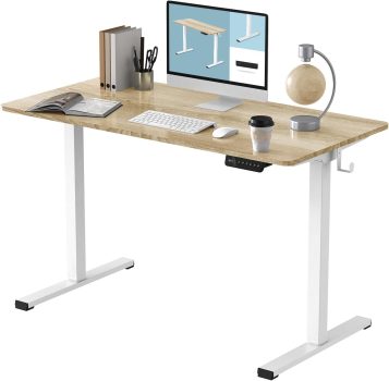 Flexispot EN1 Electric White Stand Up Desk 48 x 24-Inches