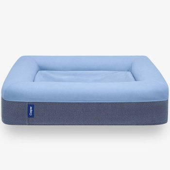 Casper Plush Memory Foam Medium Dog Bed