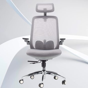 BROBRIYO Office Chair High Back Desk Chair