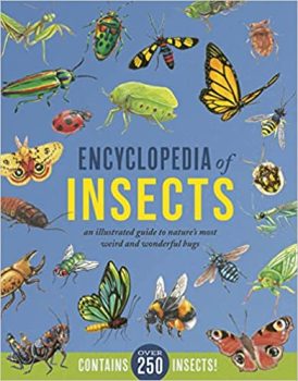 Encyclopedia of Insects: An Illustrated Guide to Natures Most Weird