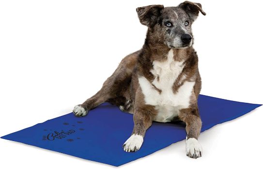 K&H Pet Products Coolin’ Pet Pad Dog Cooling Mat, X-Large 27 x 38-in