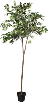 Amazon Basics Artificial Ficus Tree Fake Plant 63-Inch