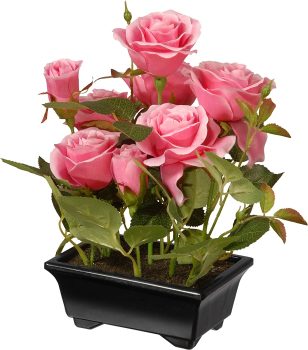 National Tree Pink 10-inch Potted Rose Flowers