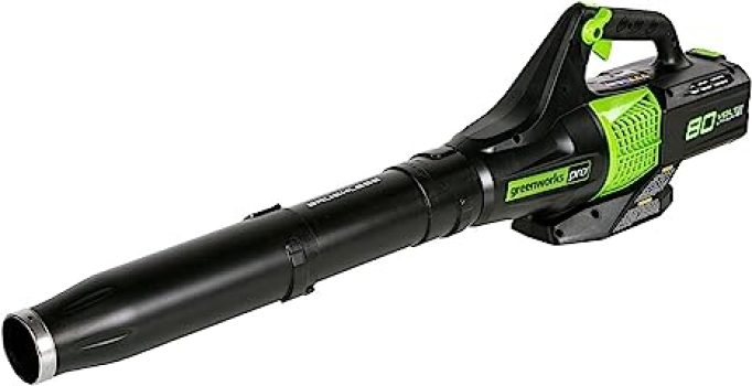 Greenworks Pro 80V Brushless Cordless Axial Blower BL80L01