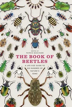 The Book of Beetles Kindle Edition
