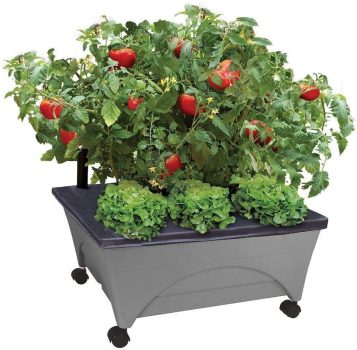 Emsco Group City Picker Raised Bed Grow Box
