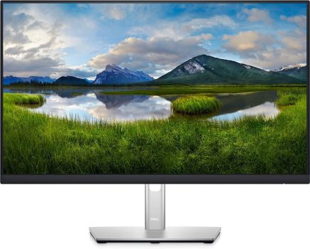 Dell P2422HE 24-in Full HD 1080p Monitor