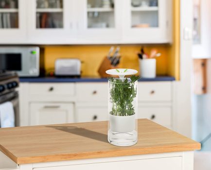 Honey-Can-Do Glass Herb Preserver