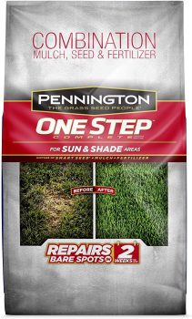 Pennington One Step Complete Sun & Shade Bare Spot Grass Seed 5-lb