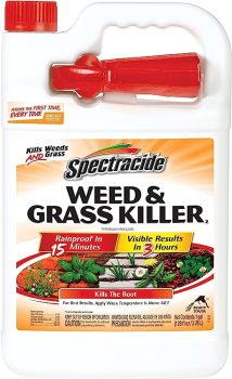 Spectracide Weed & Grass Killer 1 Gallon