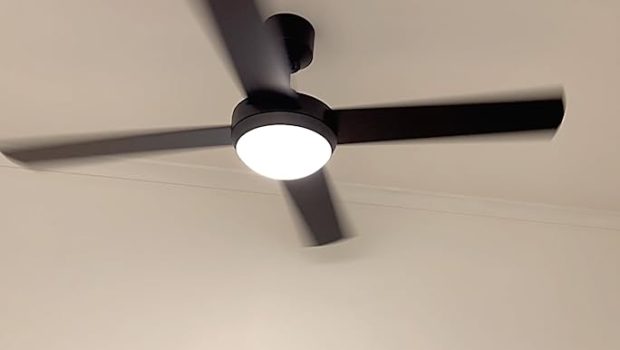 Luminance Avenue LED Ceiling Fan, Large 60 In w/Dimmable Lighting