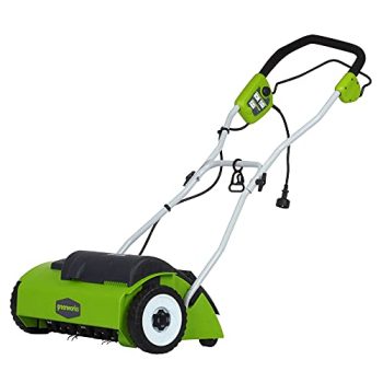 GreenWorks 27022 10 Amp 14-inch Corded Dethatcher