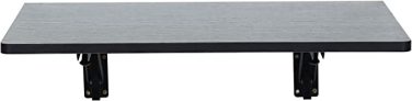 Zytty Folding Wall Mounted Desk