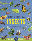 Encyclopedia of Insects: An Illustrated Guide to Natures Most Weird
