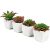 Amazon: 4-Piece Flojery Artificial Succulents Plants with Pot for $6.59( was  )
