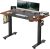 Banti Height Adjustable Electric Standing Desk w/Pencil Holder