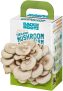 Back to the Roots Organic Mini Mushroom Grow Kit