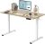 Flexispot EN1 Electric White Stand Up Desk 48 x 24-Inches