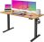 FEZIBO Dual Motors Standing Desk 55 x 24 Inches