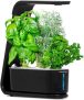 AeroGarden Sprout with Gourmet Herbs Seed Pod Kit