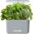 AeroGarden Harvest Indoor Garden with LED Grow Light