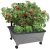 Emsco Group City Picker Raised Bed Grow Box