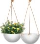 2-Piece Vivosun Hanging Planters Baskets 10 Inch