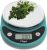 Ozeri Pronto Digital Multifunction Kitchen and Food Scale