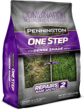 Pennington One Step Complete Dense Shade 5 lb