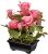 National Tree Pink 10-inch Potted Rose Flowers