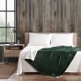 Eddie Bauer Ultra-Plush Collection Throw Blanket 60 x 50-in