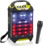 Pyle Portable Bluetooth Karaoke Speaker System w/Handheld Mic