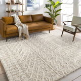 Artistic Weavers Hapsburg Moroccan Shag Area Rug, 5ft3in x 7ft3in